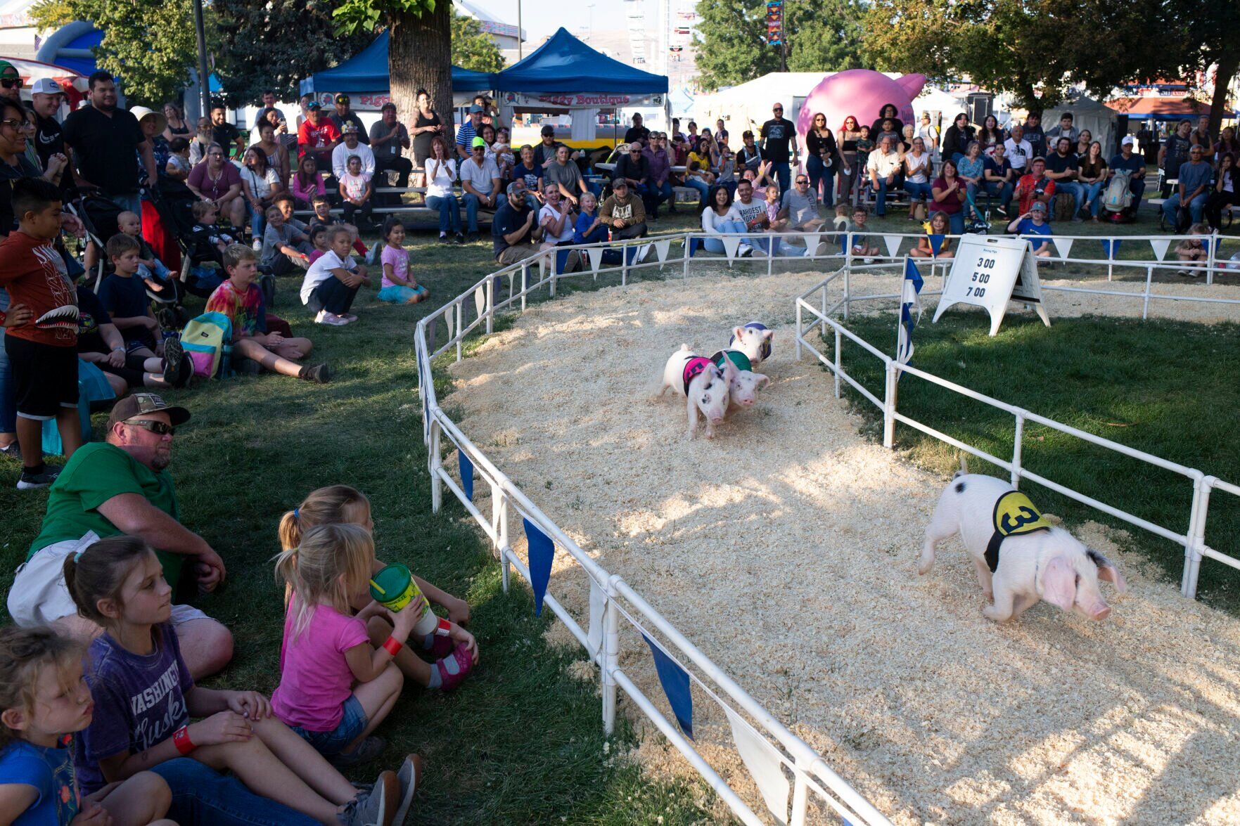 Feria Estatal del Centro de Washington